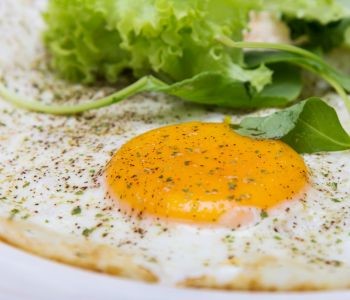 Samantha's Egg-citing Nisqually Breakfast Extravaganza: A Delightful Morning